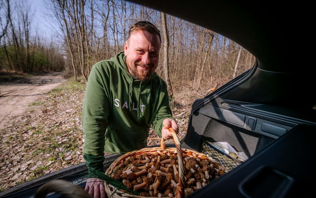 Spring’s here, let’s go to the woods – and get some morels!