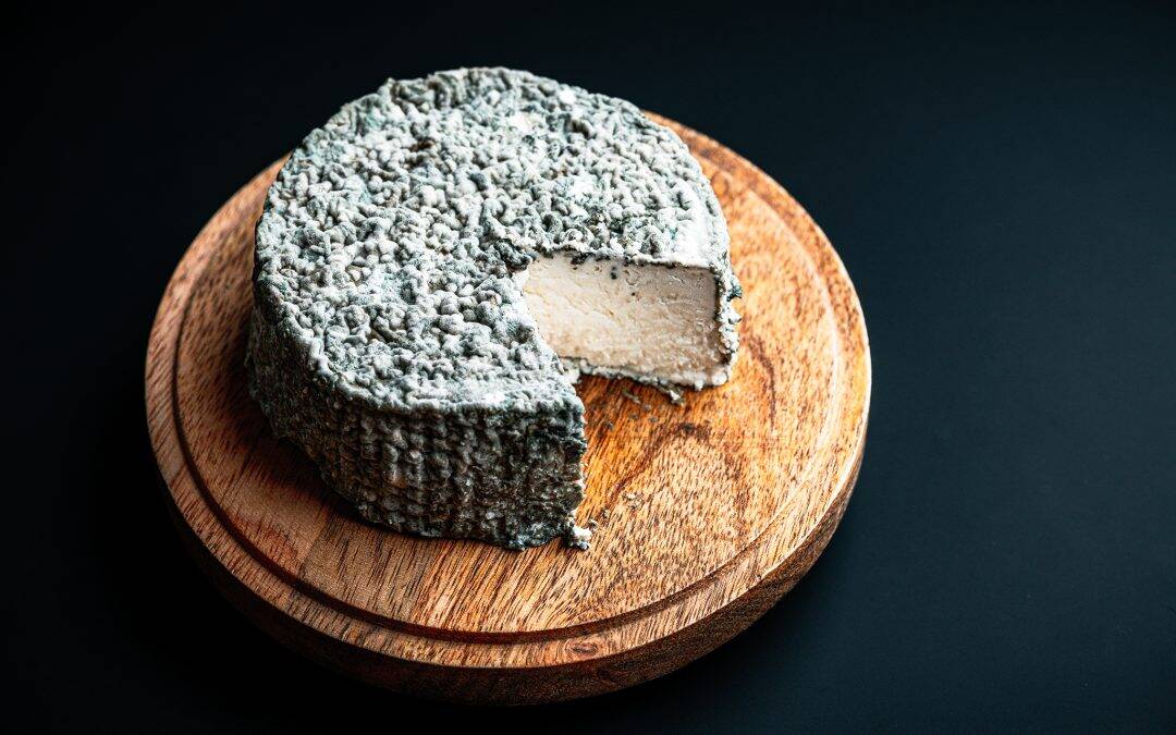 Our own blue cheese – homemade delicacy from the SALT kitchen
