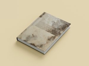 SALT Book - preorder